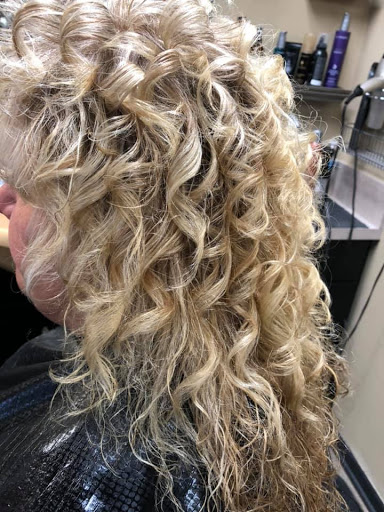 Shear Vanity - Visual