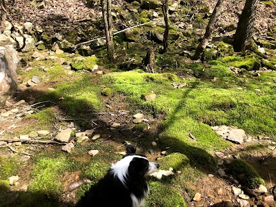 Roaring Creek Trailhead - Cumberland Trail