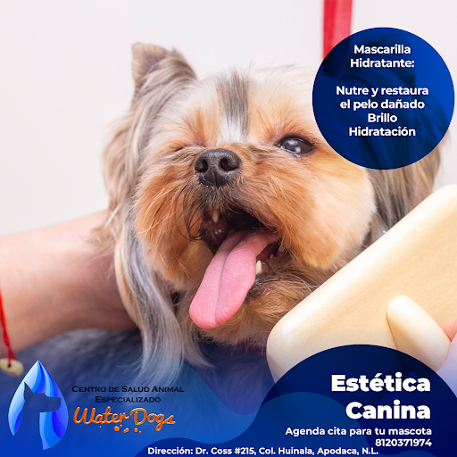 WaterDogs Hospital Veterinario Especializado