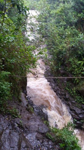 ʻEwa Forest Reserve - Thumbnail