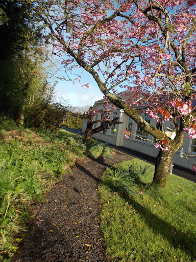 Killylea Primary School - Thumbnail