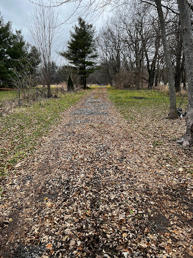 Sherman R Cook Memorial Scout Park (Cook Woods) - Thumbnail