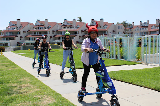Paradise Trike Tours Gallery - United States