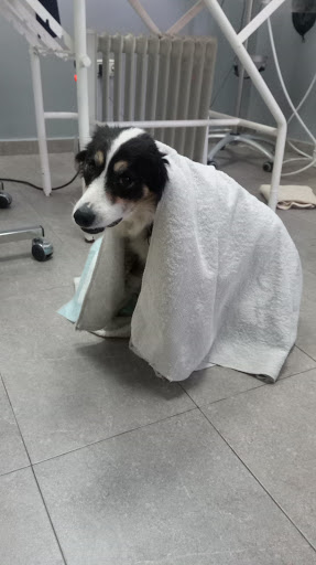 Clínica Veterinaria La Cabrera