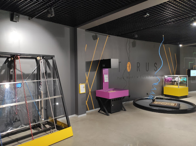 Płocka 34, 06-400 Ciechanów