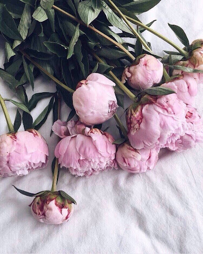 Mflowers Gifts and Event Decor - Thumbnail