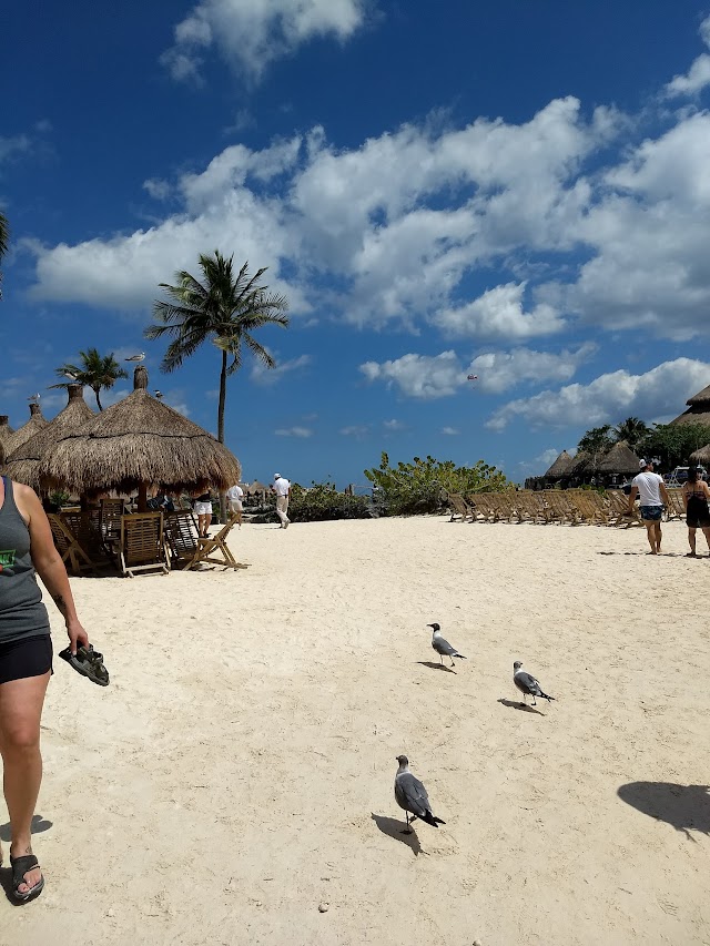 Coral Reef Aquarium Xcaret