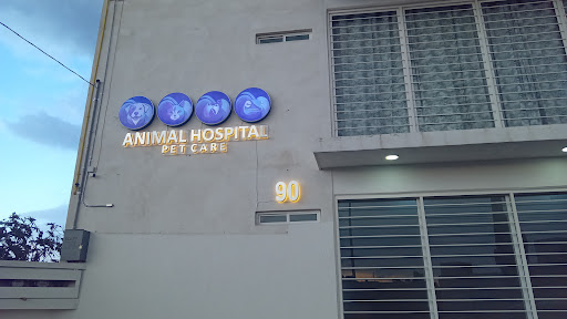 Animal Hospital pet care