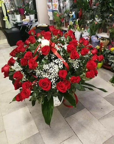 цветарски магазин - Мединила - Цветарница