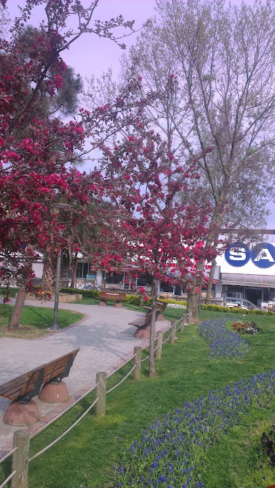 Photos of Sağmalcılar