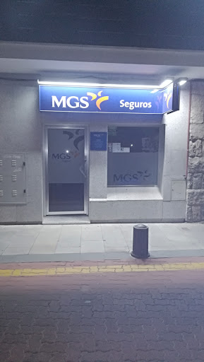 MGS Seguros y Reaseguros - Visual