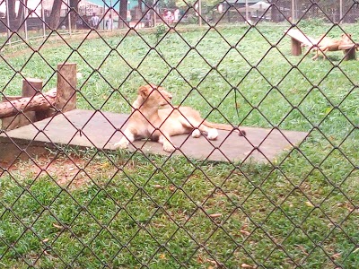 Photos of Zoo d'Abidjan