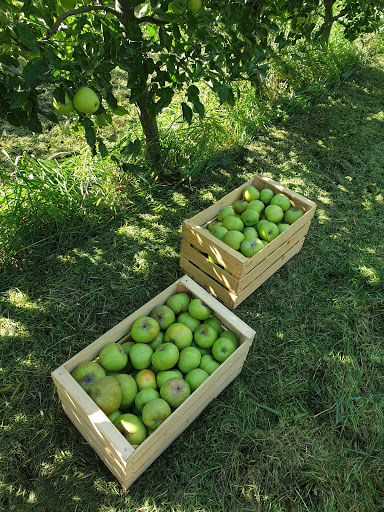 Azienda agricola Quendoz Henri - Thumbnail