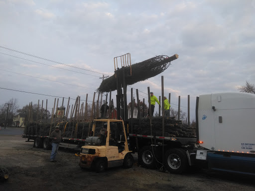 Mayfields Landscaping - Visual