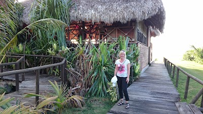 Photos of Coconut Grove