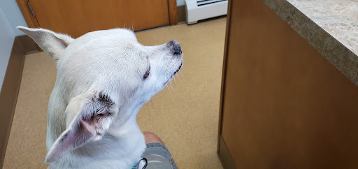 Bayview Veterinary Clinic: Wintermantel Gina DVM