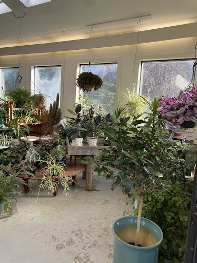 Dutton Greenhouse & Nursery - Thumbnail