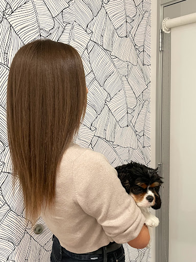 Hair Bar Santa Monica - Thumbnail