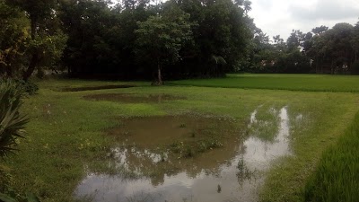 Photos of Bogoyer Dighi