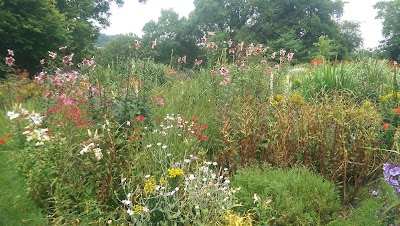Photos of Oakfield Park