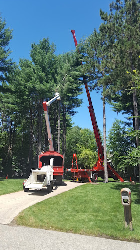 Quality Tree Service of Michigan