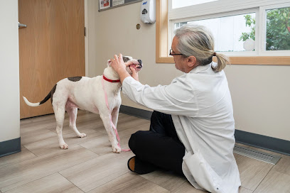 Cascade Veterinary Center, PS