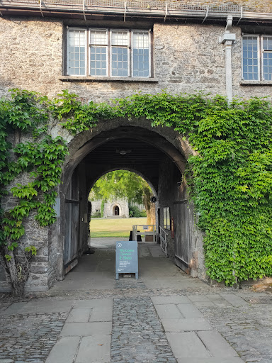Dartington Arts - Thumbnail