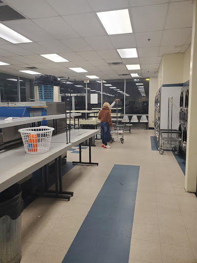 Dellview Laundry - Visual