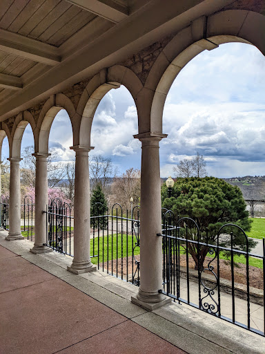 Alms Park - Visual