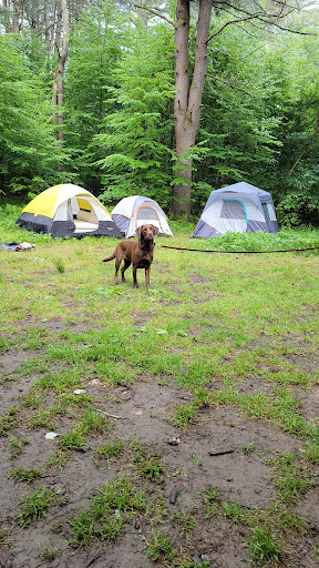 Millstone Campground Logo