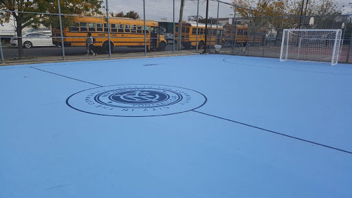 P.S. 66 Mini-Pitch - Thumbnail