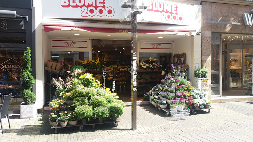 BLUME2000 Bad Kreuznach - Thumbnail