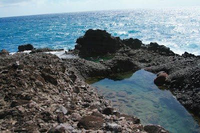 Photos of Glasse Point Trail View