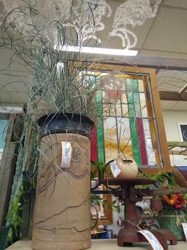 Paradise Vintage, Antiques and More Logo