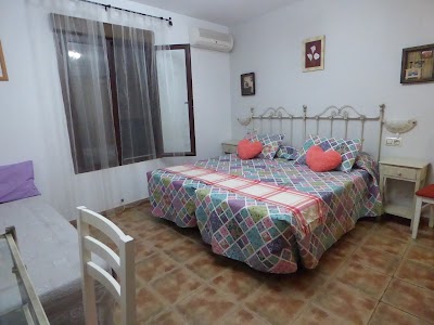 Photos of Bed Al - Mofrag