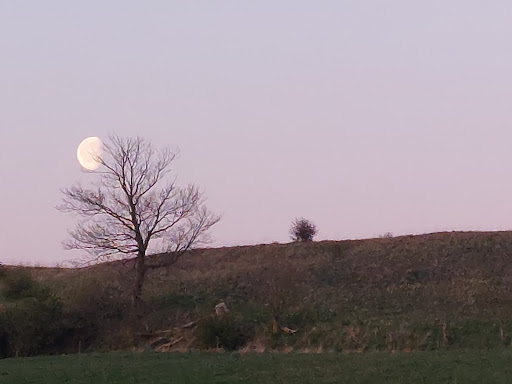 Hammars backar - Visual