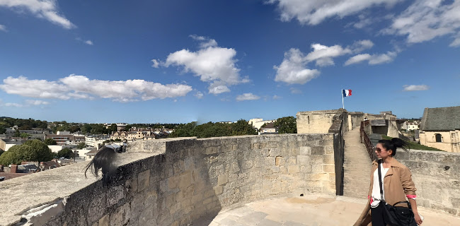 La terrasse d'artillerie