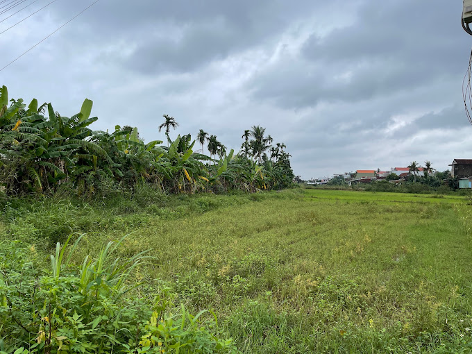 Cầu Bồ Đề 2