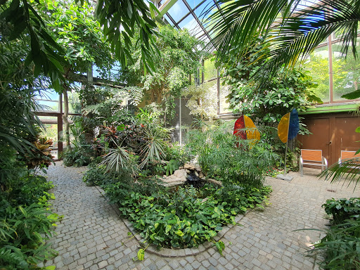 Palmenhaus Coburg - Visual