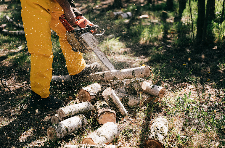 Ash Tree Service LLC