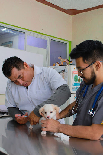 Clínica veterinaria Beethoven