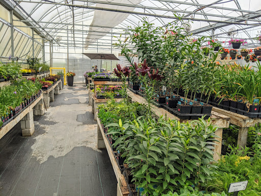 Glenlea Greenhouses Gallery - Canada