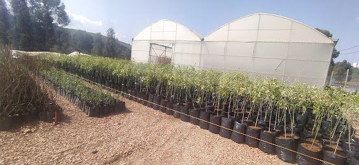 Pépinière Flora عالم الزراعة