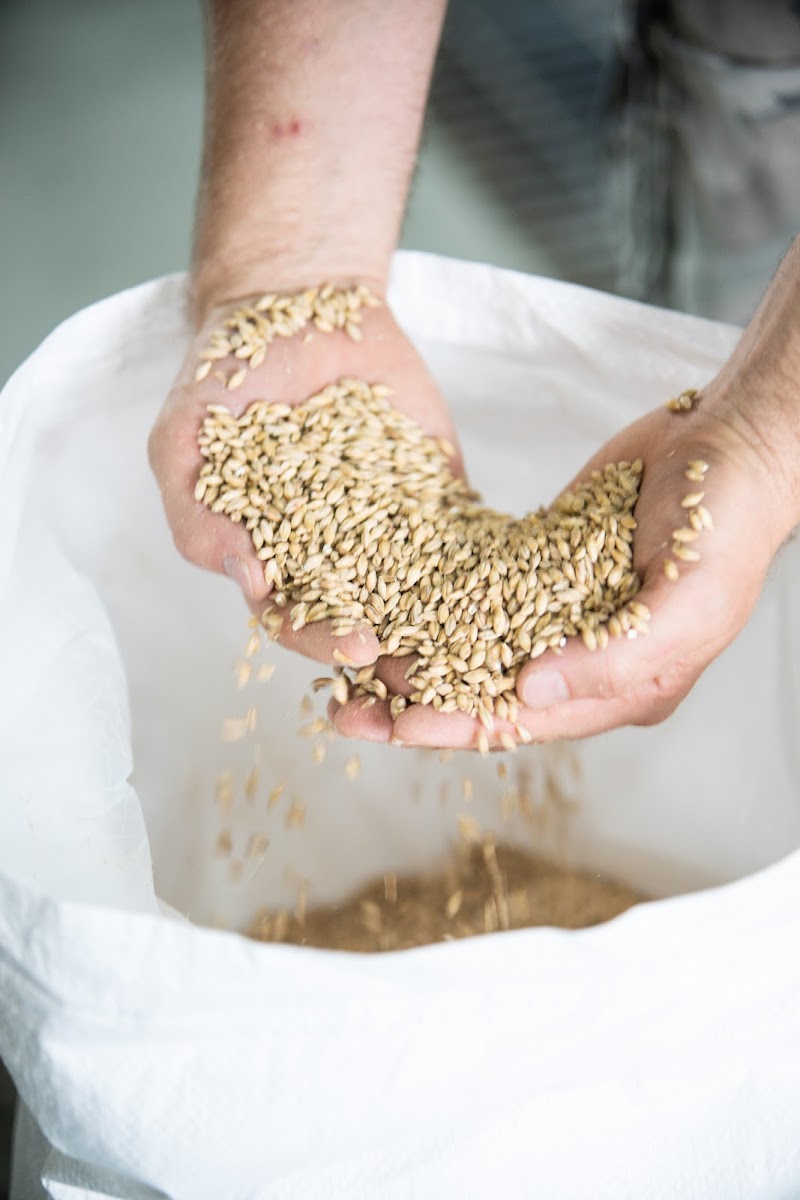 ノムクラフト・ブルーイング（株式会社CAMPS有田川）