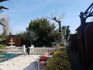 Photo n°6 de Meinder Espaces Verts à Pélissanne (Jardinier)