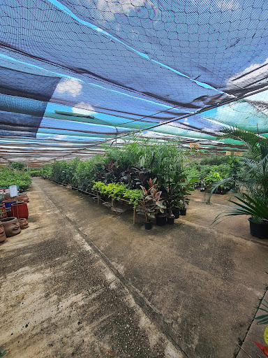 Fitzroy Nurseries - Visual