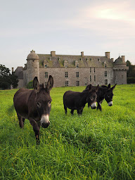 Photo n°8 de Château de Kergroadez à Brélès (Séminaire)