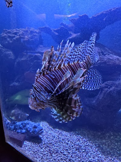 Key West Aquarium