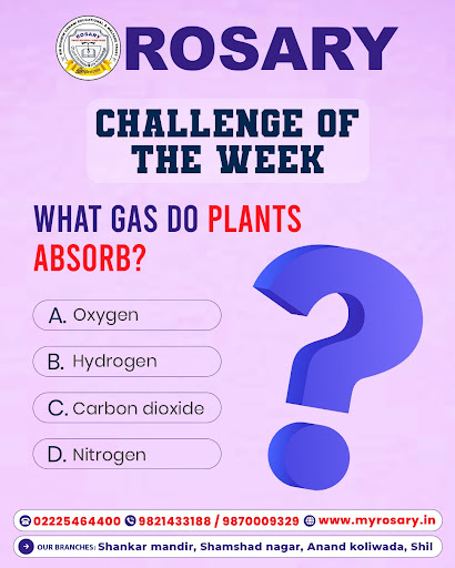 CHALLENGE OF THE WEEK!