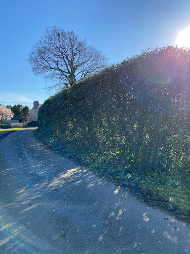 Kerne Élagage - Thumbnail